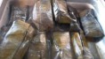 /album/fotogaleria-inicio/tamales-de-chipilin-lm-jpg/